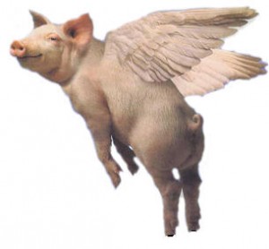 20070831015132!Flying_Pig